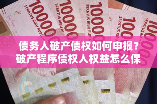 北京债务人破产债权如何申报？破产程序债权人权益怎么保障？