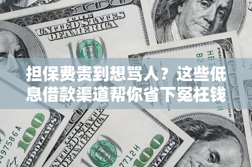 北京担保费贵到想骂人？这些低息借款渠道帮你省下冤枉钱