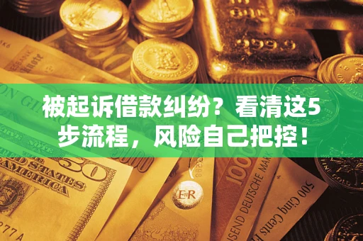 北京被起诉借款纠纷？看清这5步流程，风险自己把控！