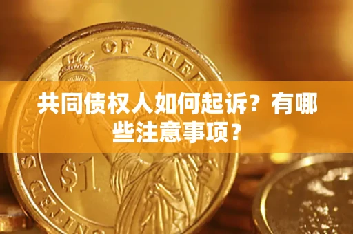 北京共同债权人如何起诉？有哪些注意事项？